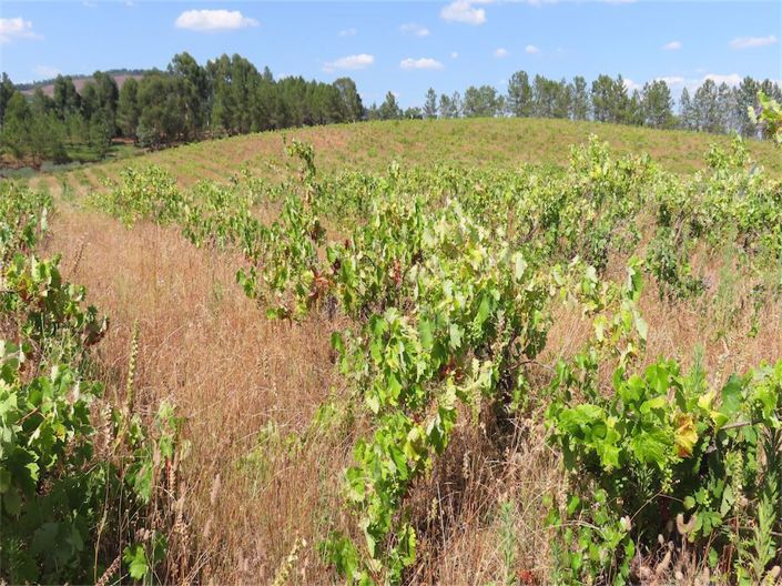 Image No.14-Property for sale