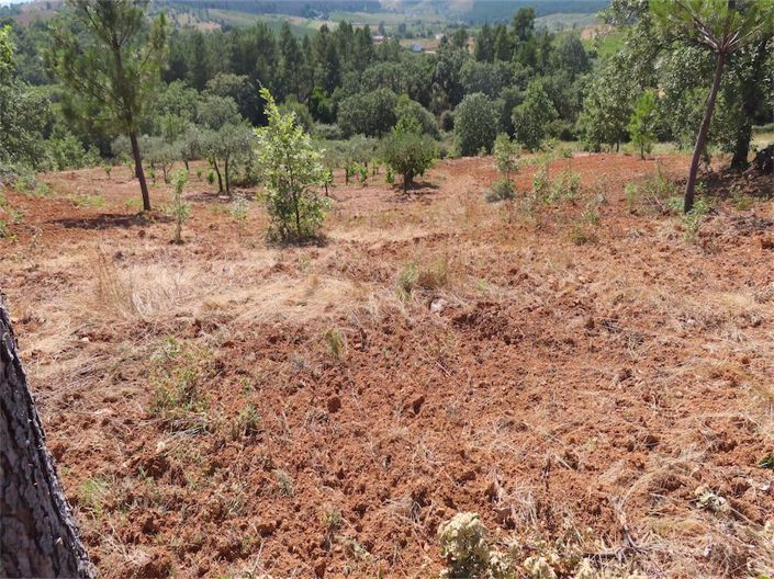 Image No.16-Property for sale