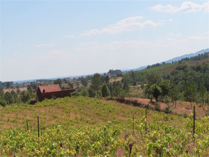 Image No.3-Property for sale