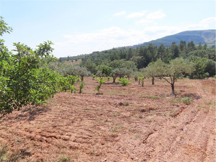 Image No.33-Property for sale