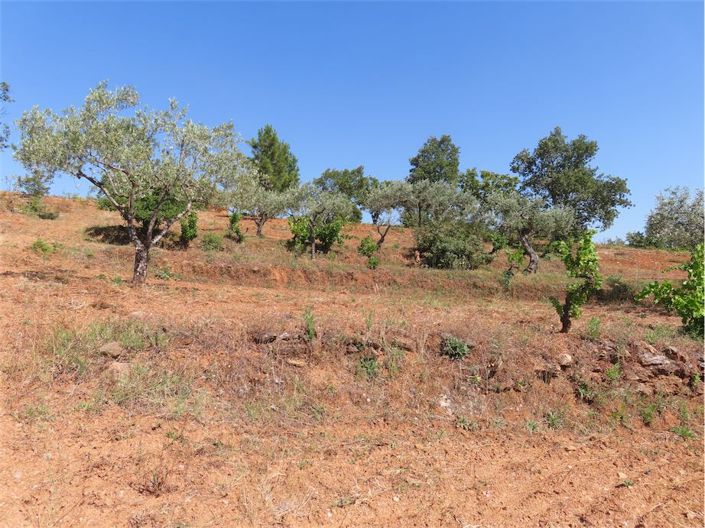 Image No.34-Property for sale