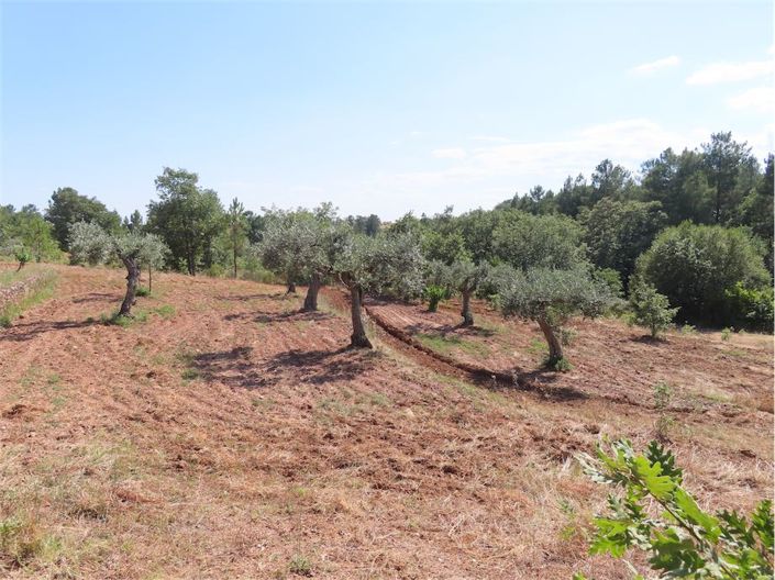 Image No.35-Property for sale