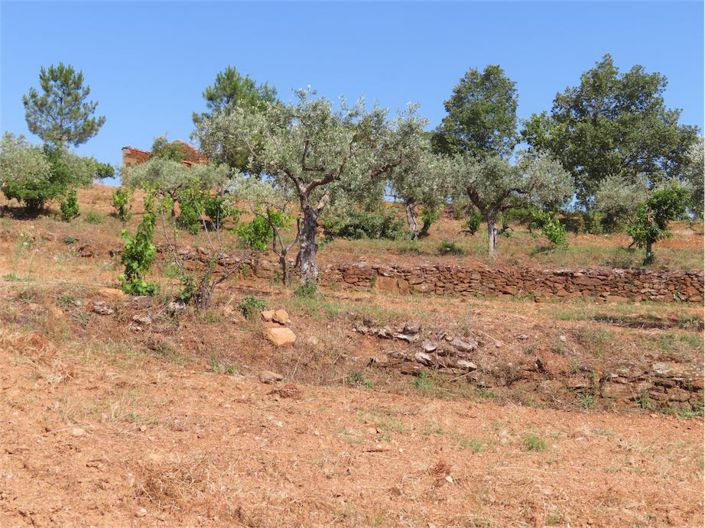 Image No.36-Property for sale