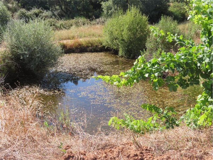 Image No.37-Property for sale