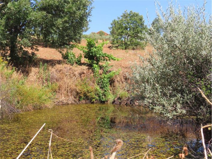 Image No.42-Property for sale