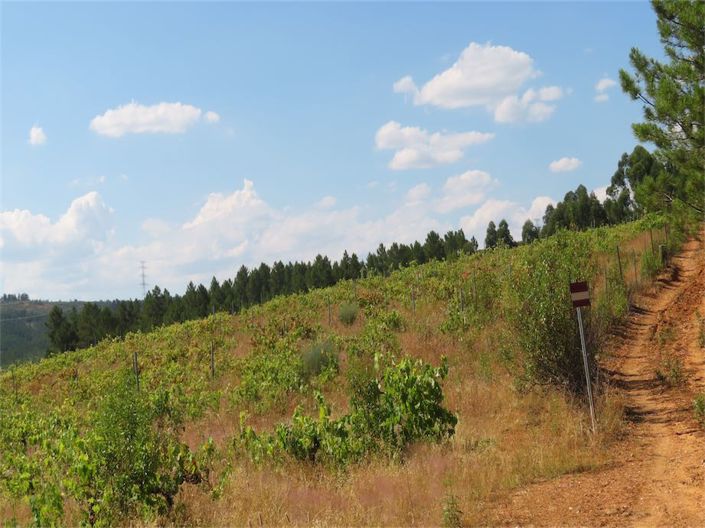 Image No.6-Property for sale