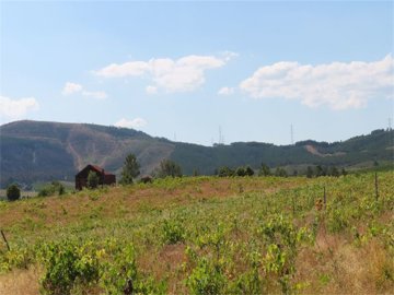 1 - Castelo Branco, Propriété