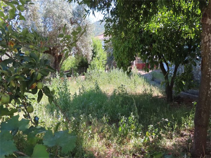 Image No.10-Propriété à vendre à Castelo Branco