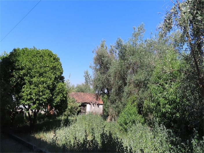 Image No.2-Propriété à vendre à Castelo Branco