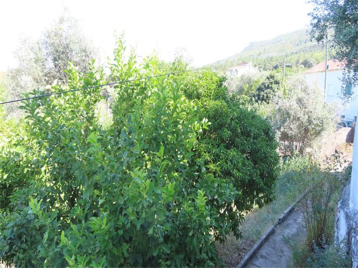 Image No.37-Propriété à vendre à Castelo Branco