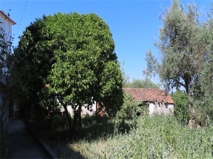 Image No.4-Propriété à vendre à Castelo Branco