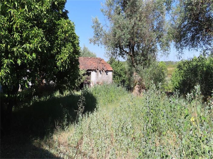 Image No.41-Propriété à vendre à Castelo Branco