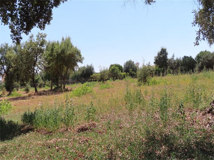 Image No.11-Property for sale