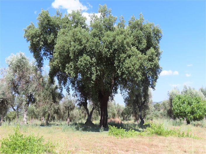 Image No.18-Property for sale