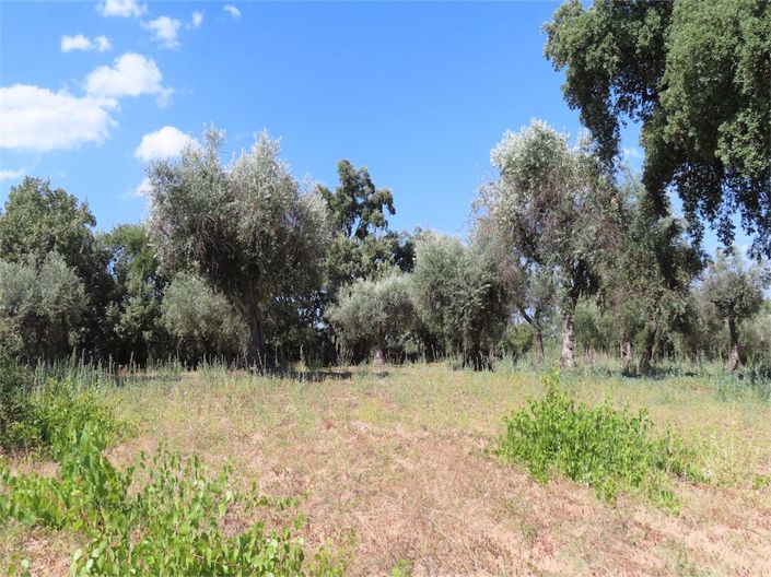 Image No.19-Property for sale