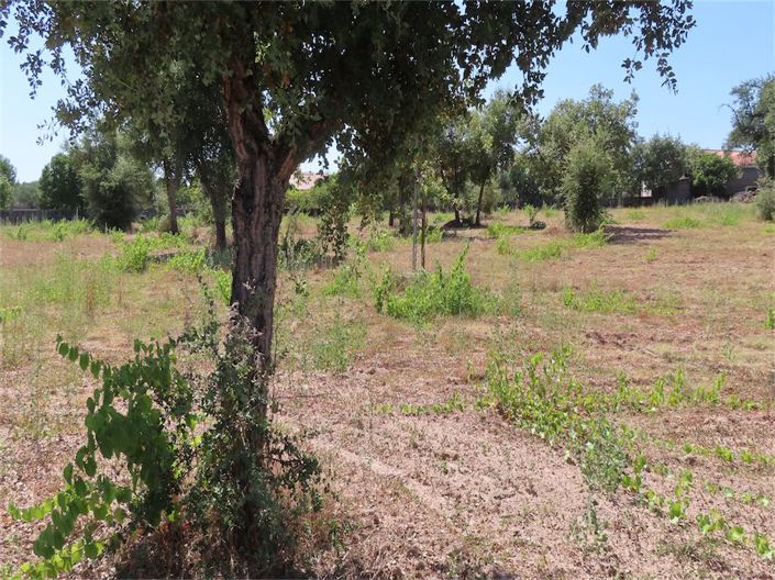 Image No.27-Property for sale