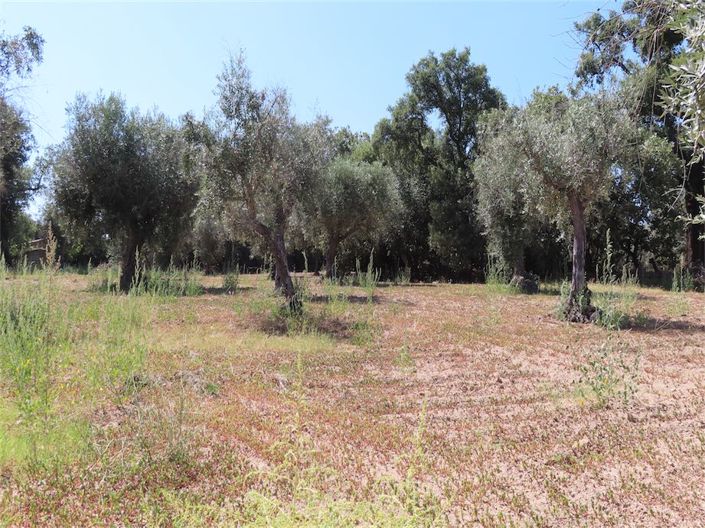 Image No.6-Property for sale