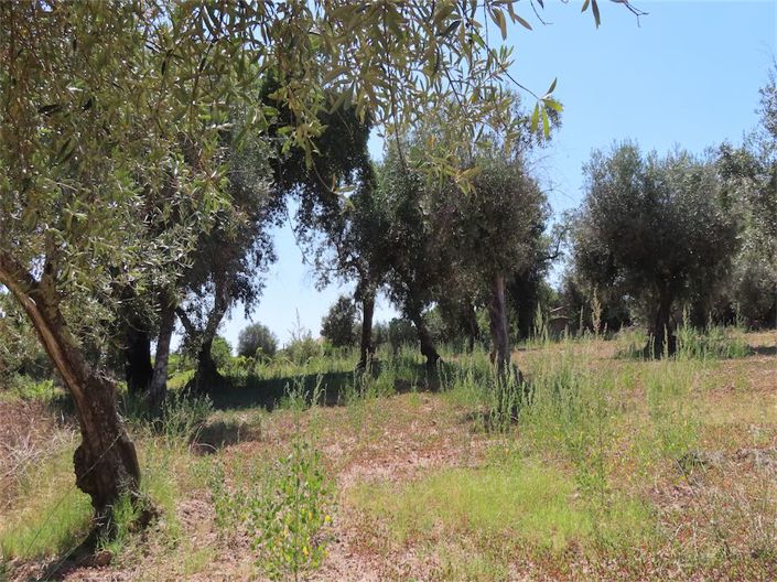 Image No.7-Property for sale