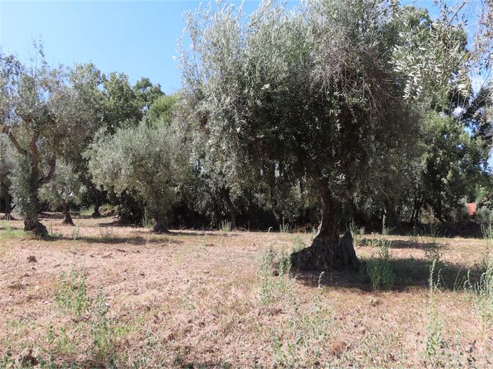 Image No.8-Property for sale