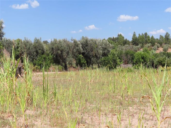 Image No.12-Property for sale