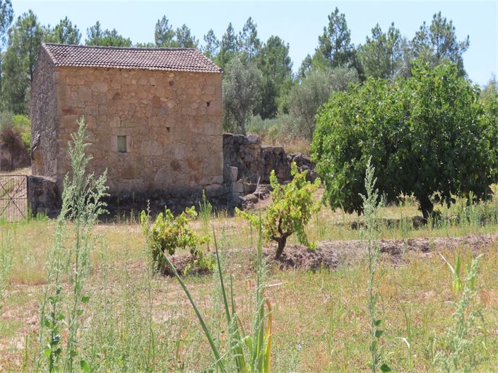 Image No.31-Property for sale