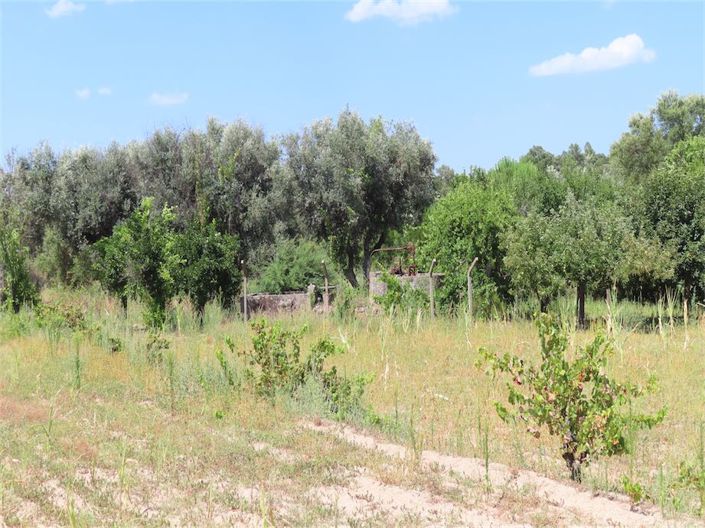 Image No.35-Property for sale