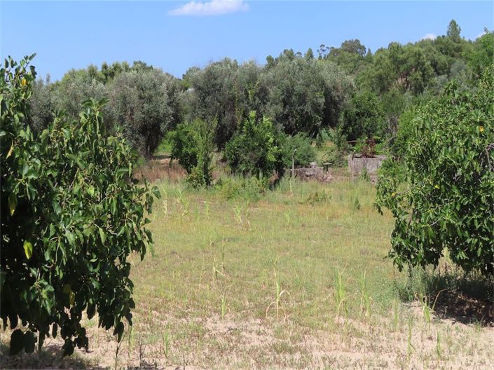 Image No.38-Property for sale