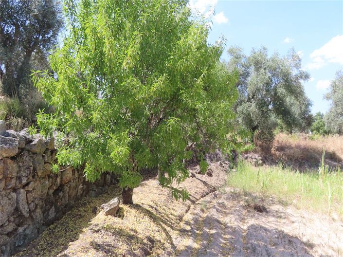 Image No.45-Property for sale