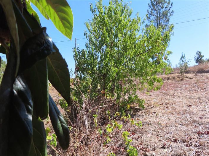 Image No.15-3 Bed Property for sale