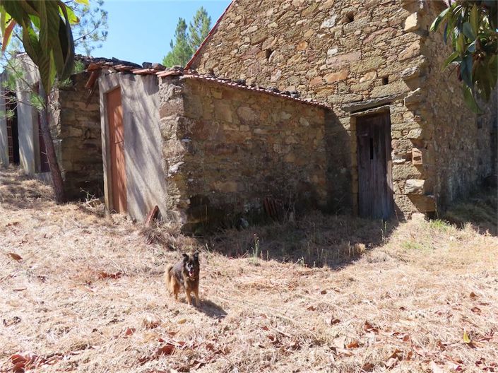 Image No.17-3 Bed Property for sale