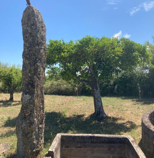 Image No.13-Propriété à vendre à Castelo Branco