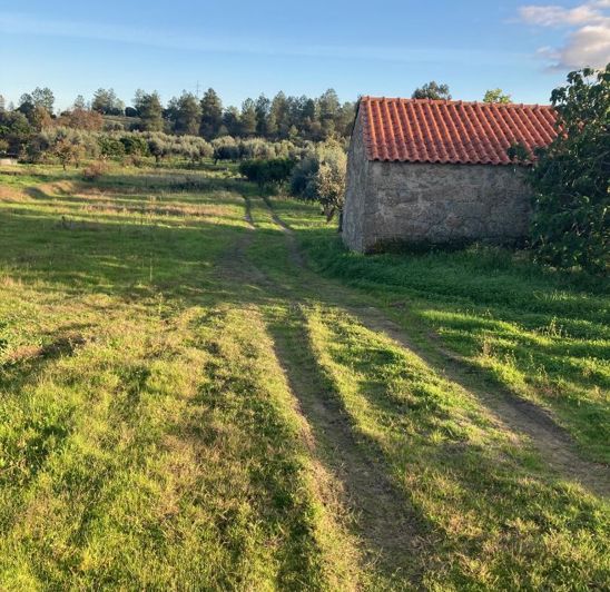 Image No.14-Propriété à vendre à Castelo Branco