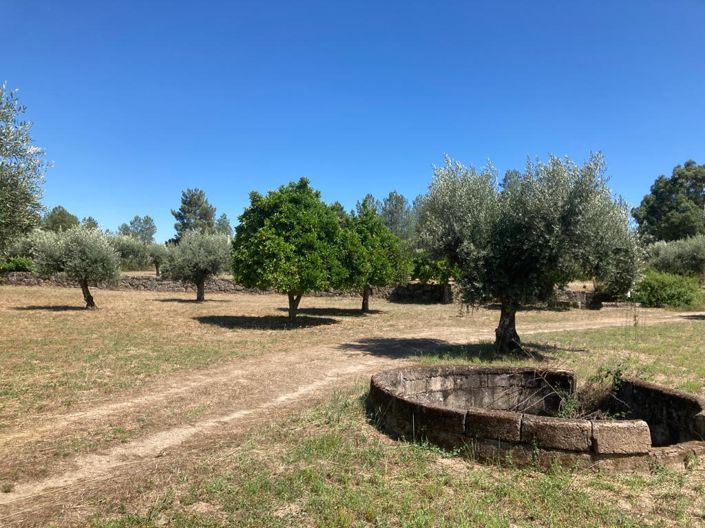 Image No.15-Propriété à vendre à Castelo Branco