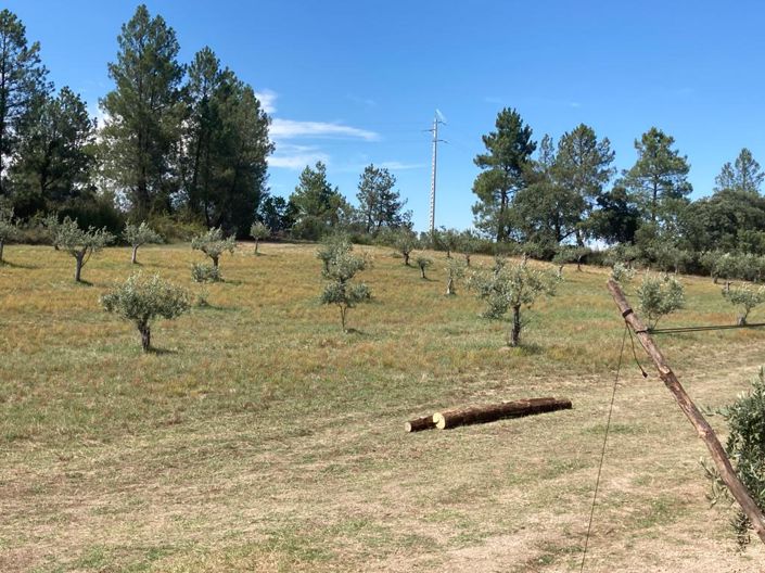 Image No.3-Propriété à vendre à Castelo Branco