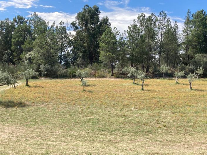 Image No.4-Propriété à vendre à Castelo Branco