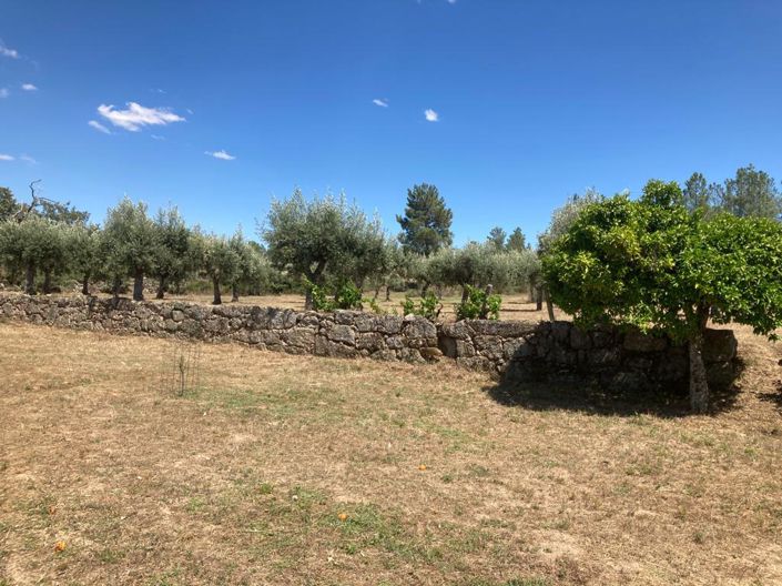 Image No.6-Propriété à vendre à Castelo Branco