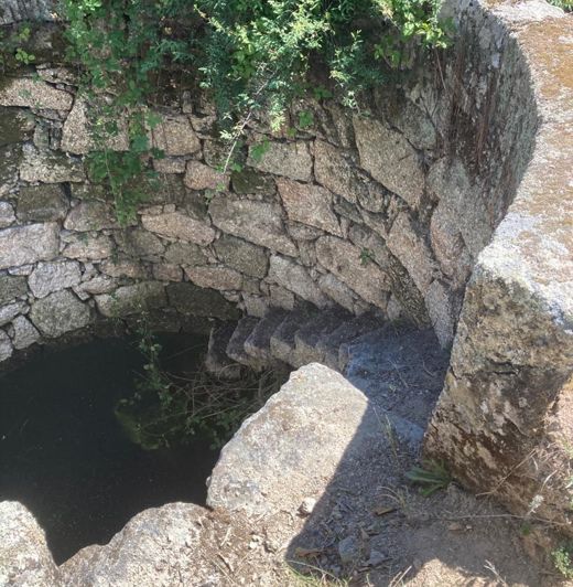 Image No.7-Propriété à vendre à Castelo Branco