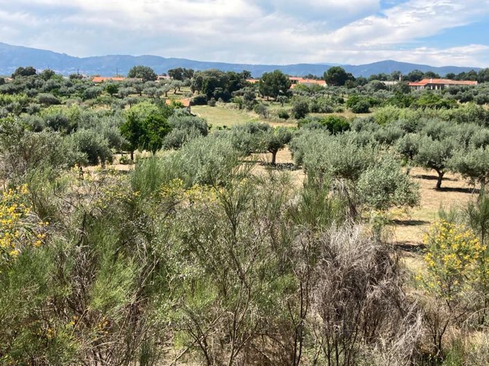 Image No.9-Propriété à vendre à Castelo Branco