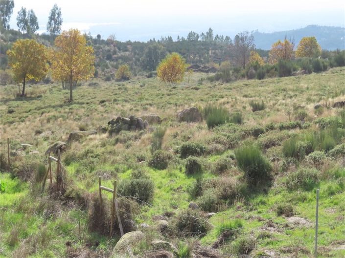 Image No.21-Property for sale