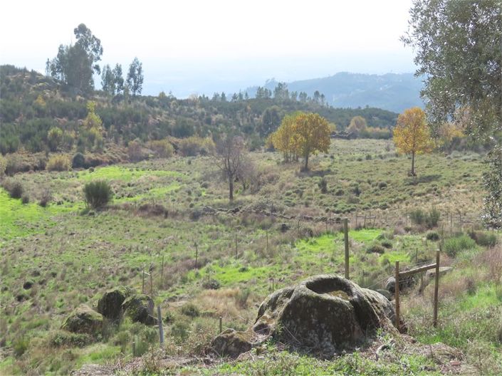 Image No.44-Property for sale