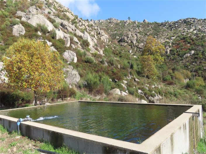 Image No.5-Property for sale