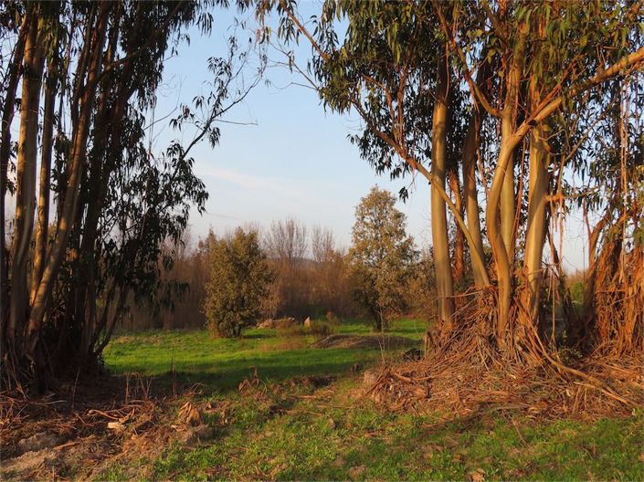 Image No.12-Property for sale