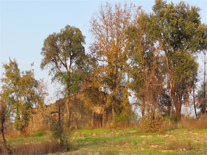 Image No.25-Property for sale