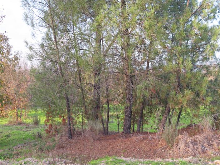 Image No.3-Property for sale