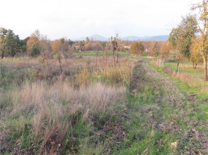 Image No.31-Property for sale