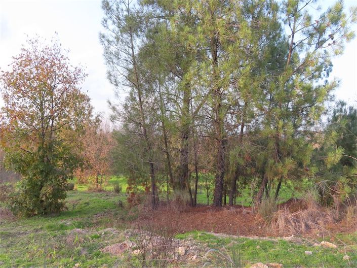 Image No.4-Property for sale