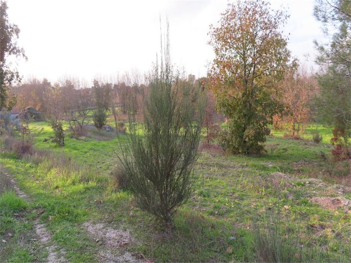 Image No.5-Property for sale