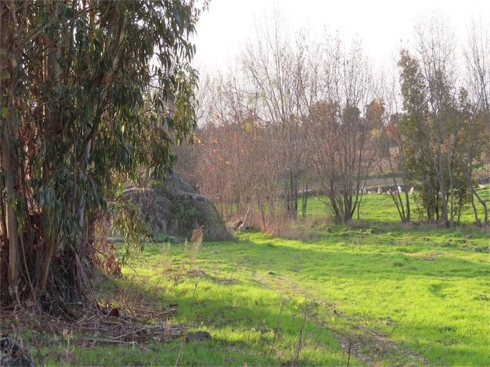 Image No.7-Property for sale