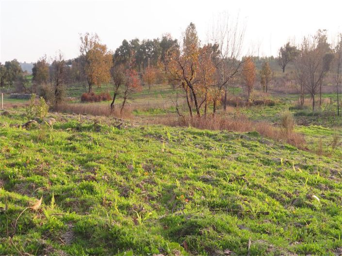 Image No.9-Property for sale