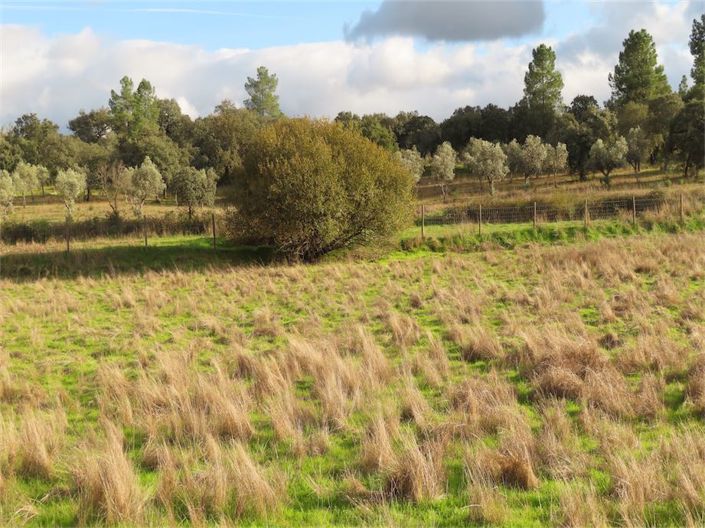 Image No.11-Property for sale